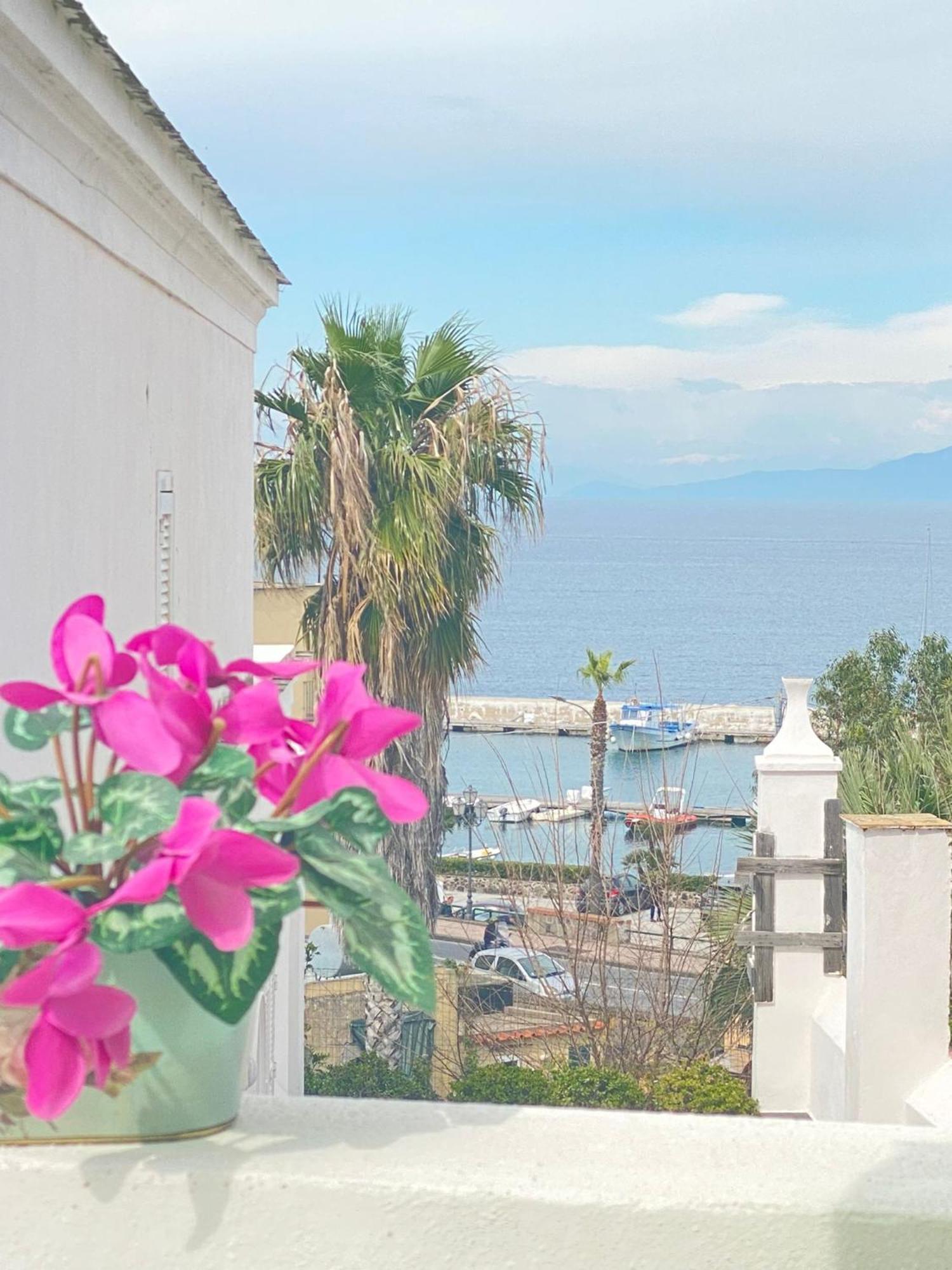 Euploia * Ischia